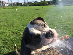 IMG_0772
